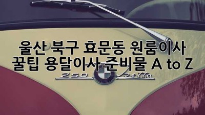 울산 북구 효문동 원룸이사 꿀팁🍯: 용달이사 준비물 A to Z
