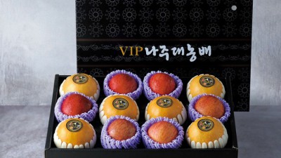🎁 명절 선물 고민 끝! 똑똑한 혼합명절선물세트 추천🎁